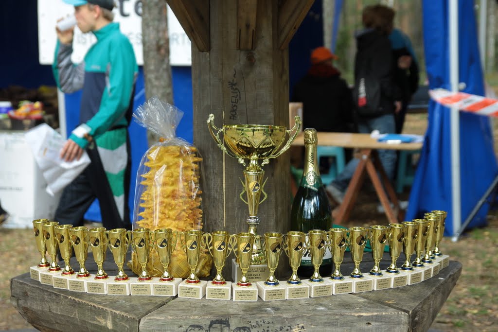 2011 metai