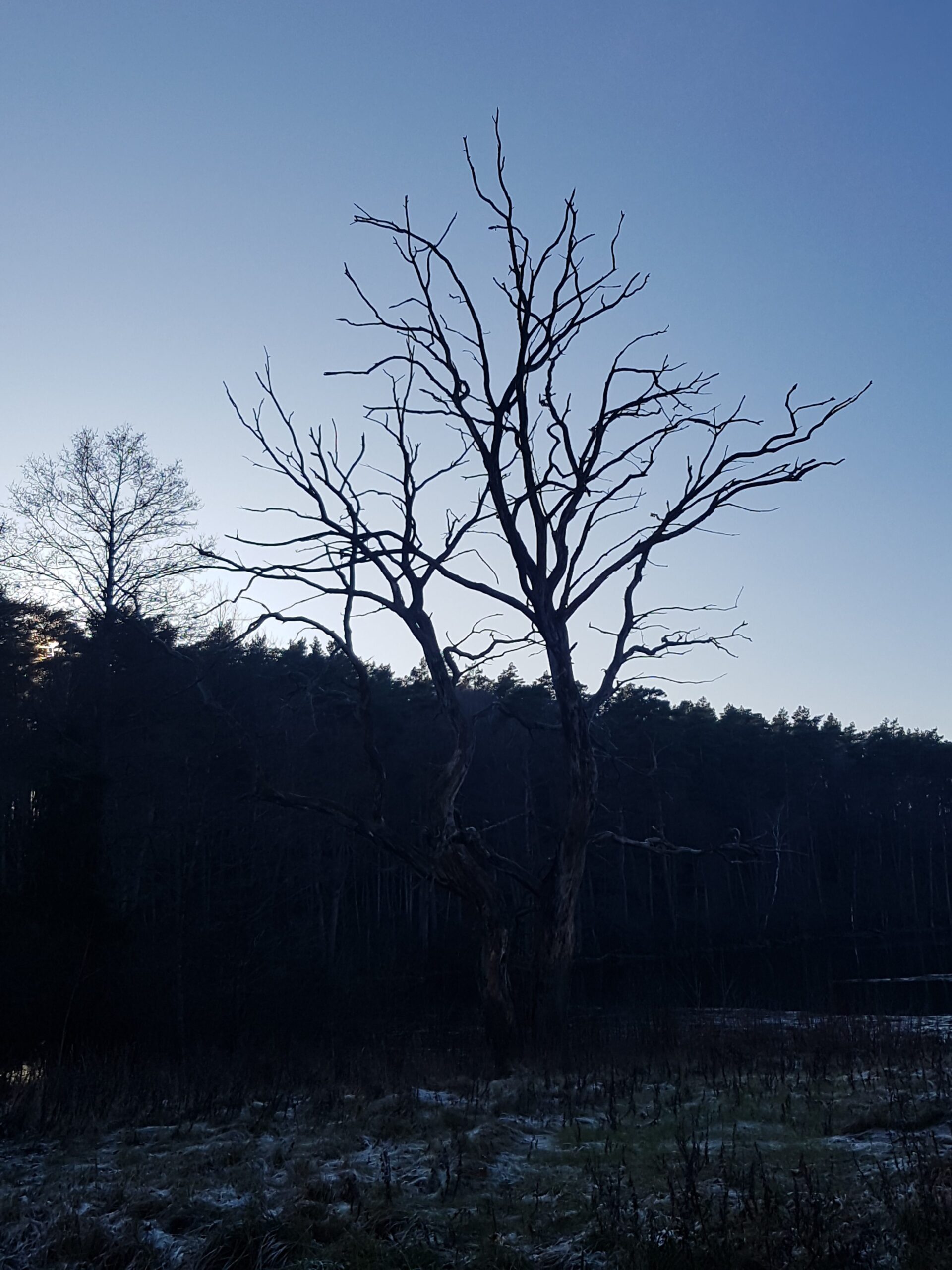Lunatikų žygis gruodžio 14 d. Tarp 5 ežerų.